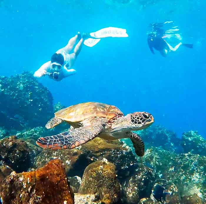 Snorkeling Nemo Galapagos