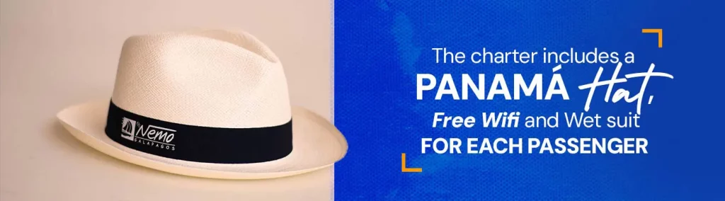 Special Charters Panama Hat