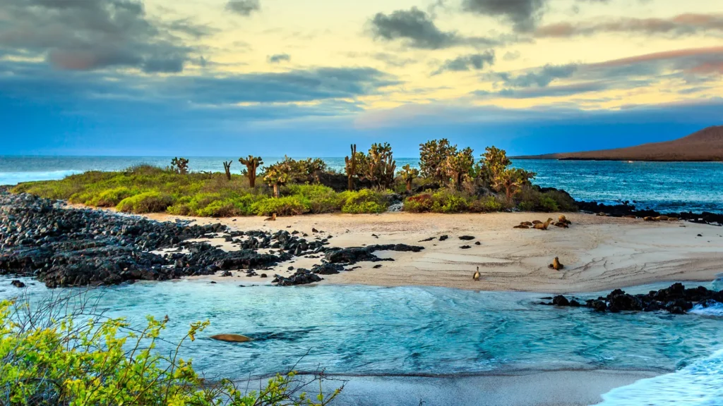 visit Galapagos islands on a budget