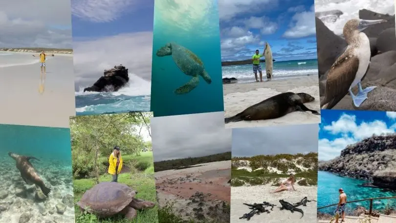 things to do in Galapagos