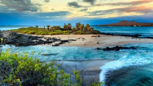 best time to visit galapagos islands