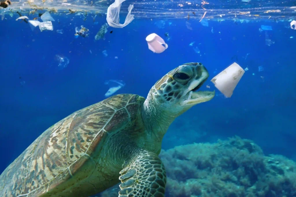 Galapagos turtle with pollution