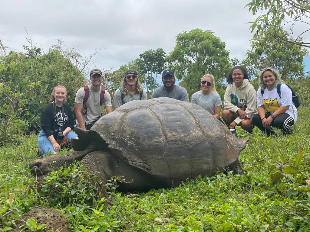 Visitors encountering galapagos giant tortoises