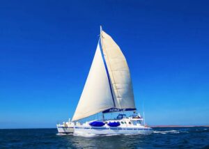 galapagos boat tours