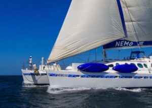 honeymoon in galapagos